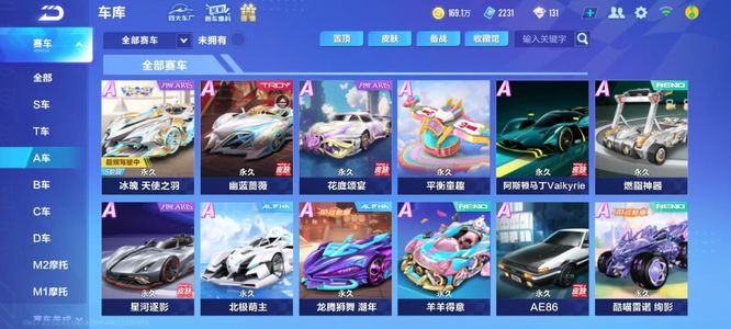 挥为球队的