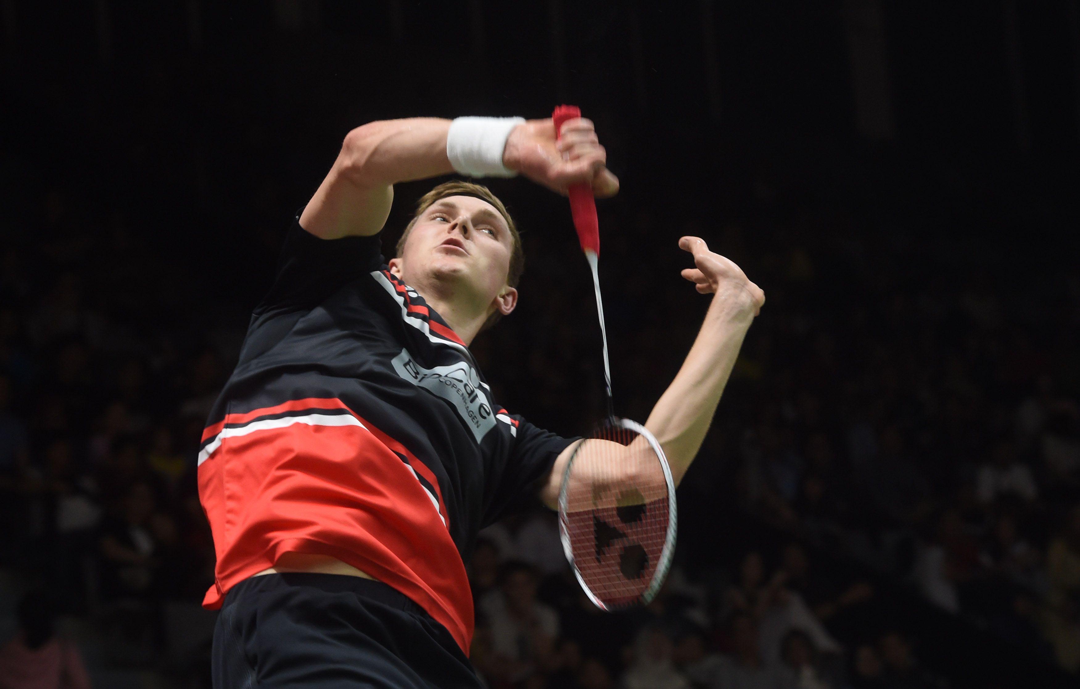 经济的依赖 经济的依赖