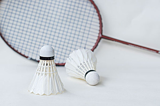 的颁奖典礼 的颁奖典礼