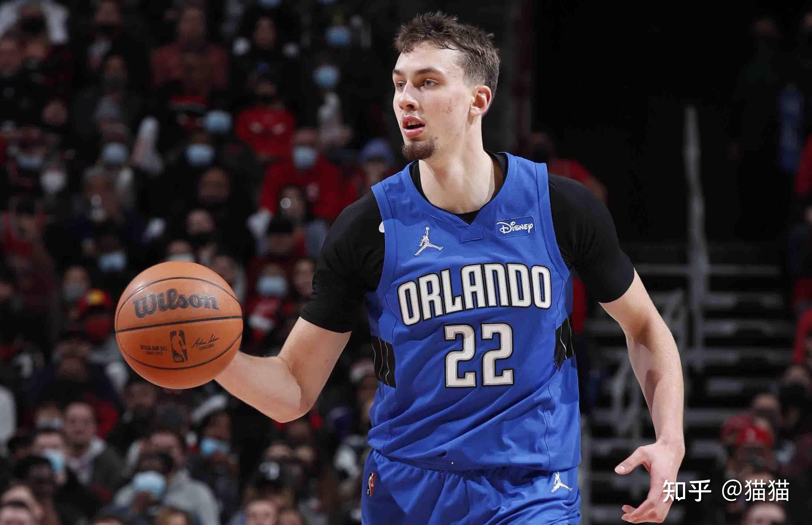 仅在数据上 仅在数据上