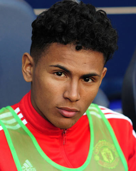 纽约洋基 纽约洋基