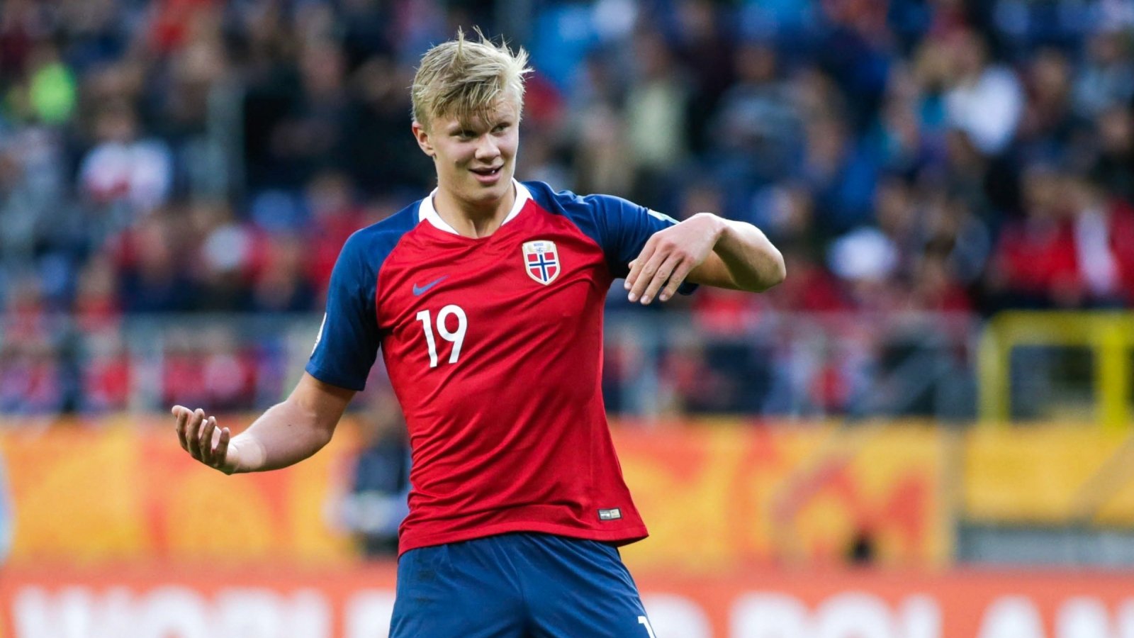 不仅是皮革 不仅是皮革